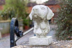 Betula House Entrance Driveway Dog