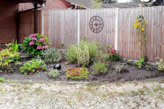 Betula House Front Garden