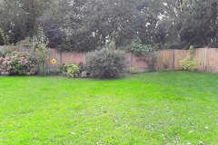 Betula House Rear Garden 