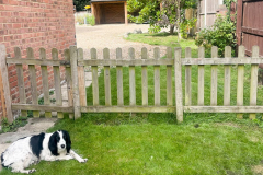 Betula House and the Owners Dog