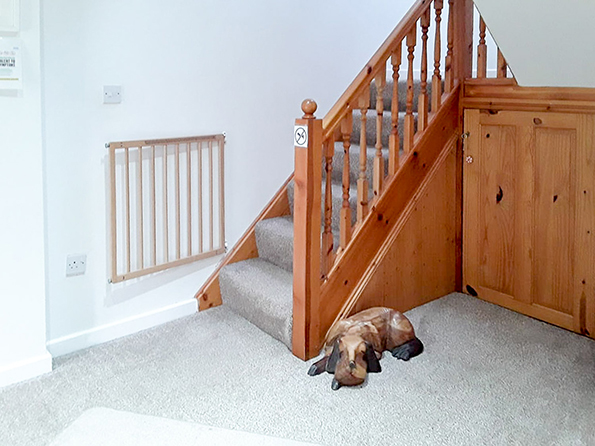 Hallway, showing stairway at ground floor level and safety gate. Betula House's wooden dog is also shown. 