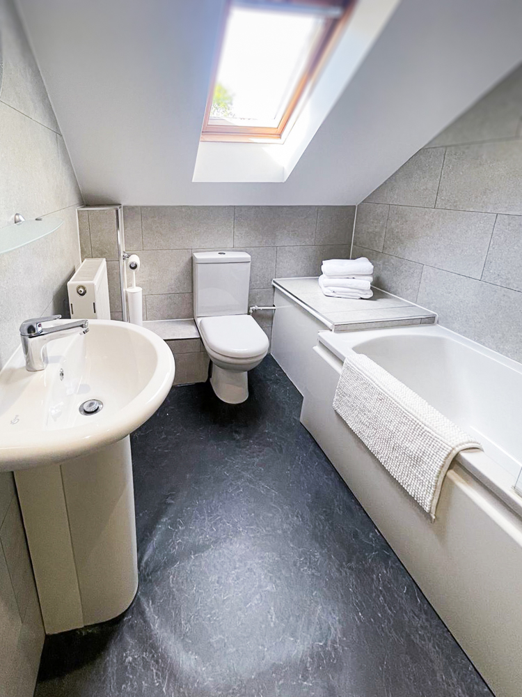Bathroom, bath, shower, WC and Basin.